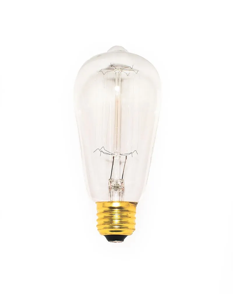 2.2" 40 W Incandescent Light Bulb with Clear Finish