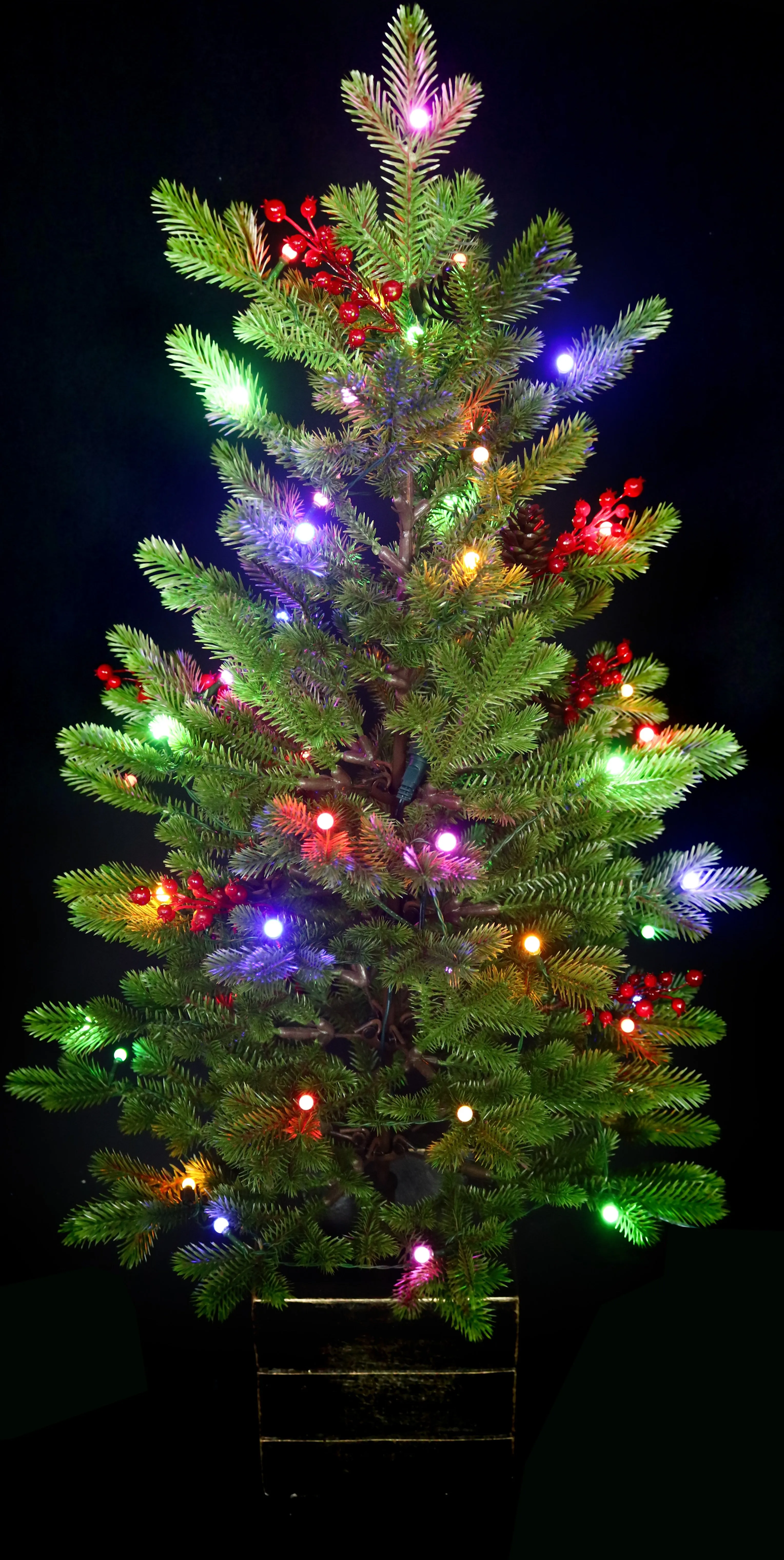 3.5' Frasier Fir Potted Artificial Foyer Tree with Color-Changing Starry LED Globe Lights