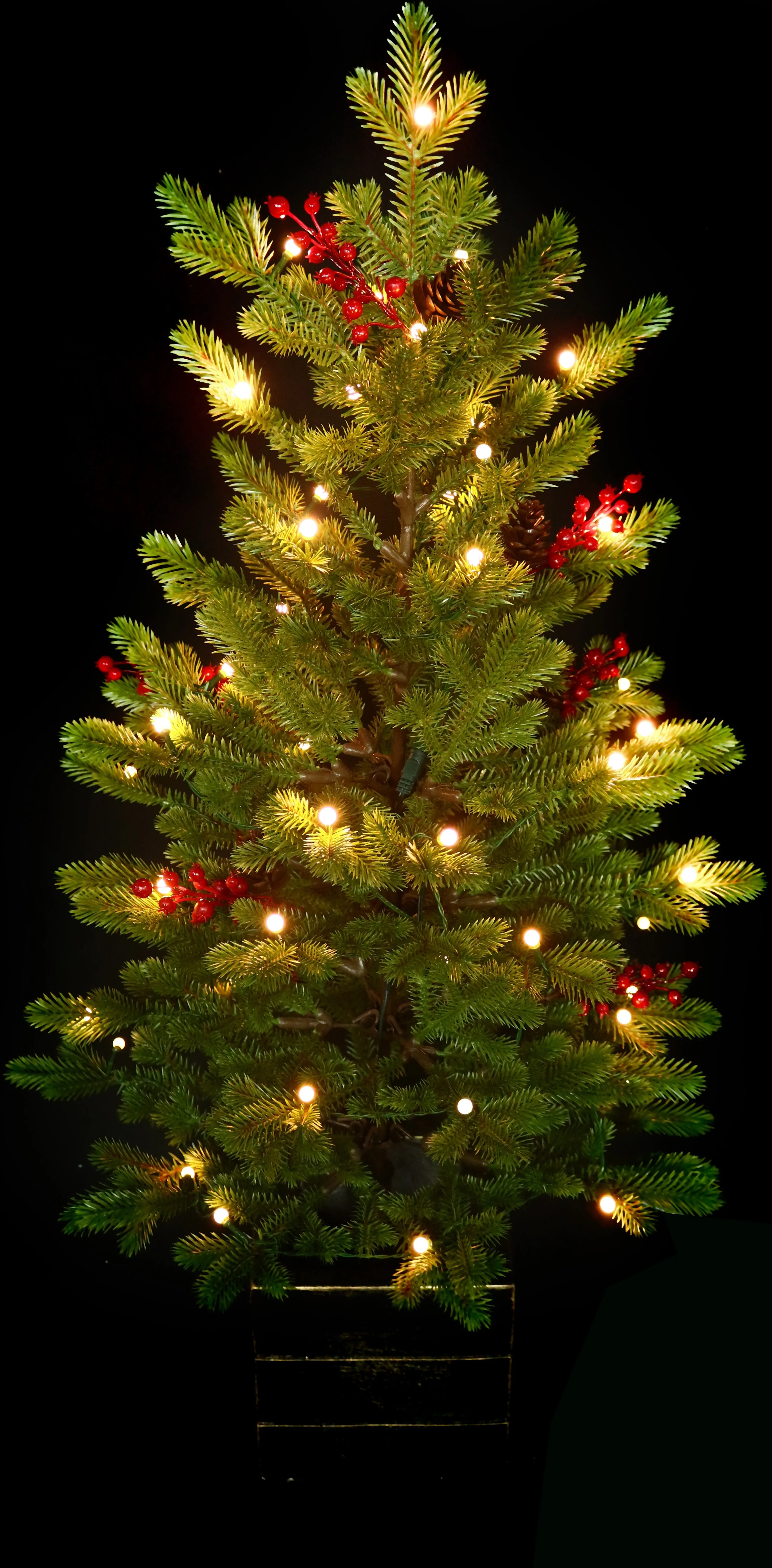 3.5' Frasier Fir Potted Artificial Foyer Tree with Color-Changing Starry LED Globe Lights