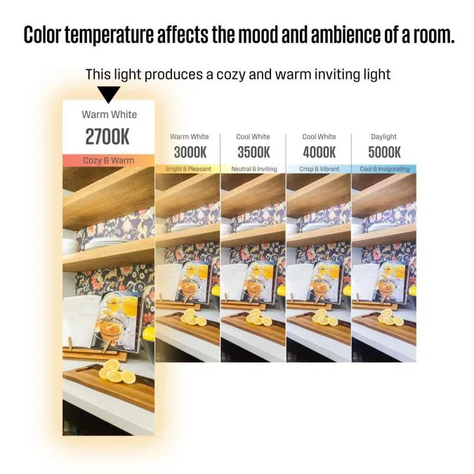 4.5 Watt (60 Watt Equivalent) B11 Dimmable Filament LED Light Bulb