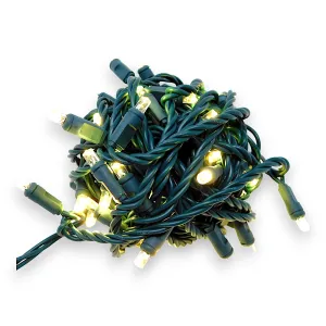 50L Coaxial Concave LED Mini Christmas Lights