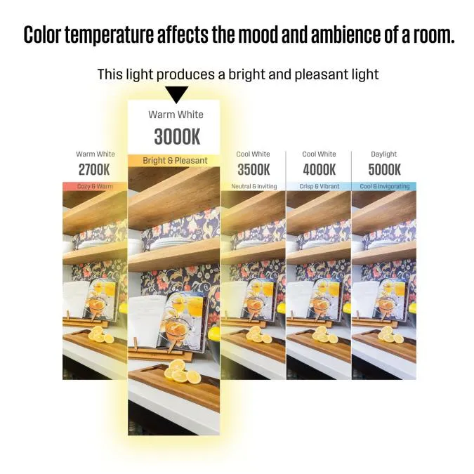 6 Watt (75 Watt Equivalent) G25 Dimmable LED Light Bulb