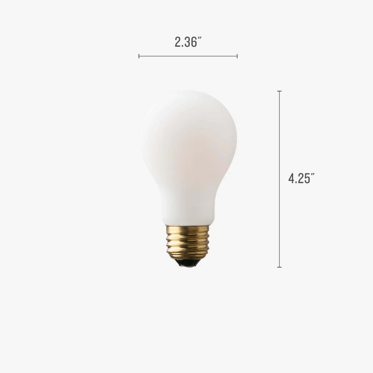 A19 Matte Porcelain LED Bulb