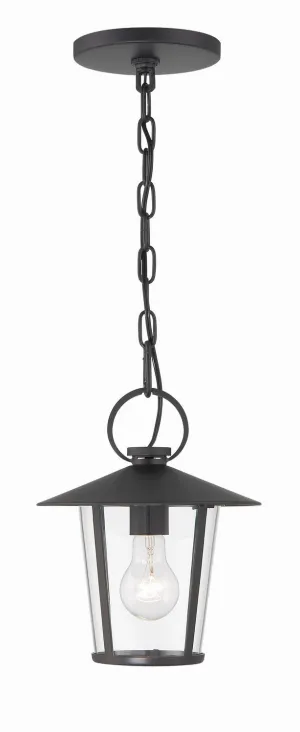 Andover 1-Light Outdoor Chandelier in Matte Black