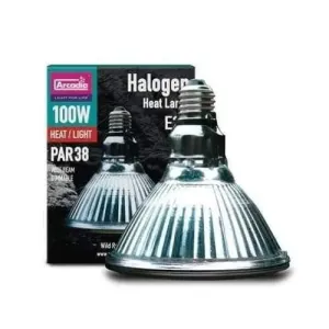 Arcadia Halogen Light Bulbs & High Level Heat Lamp 110V