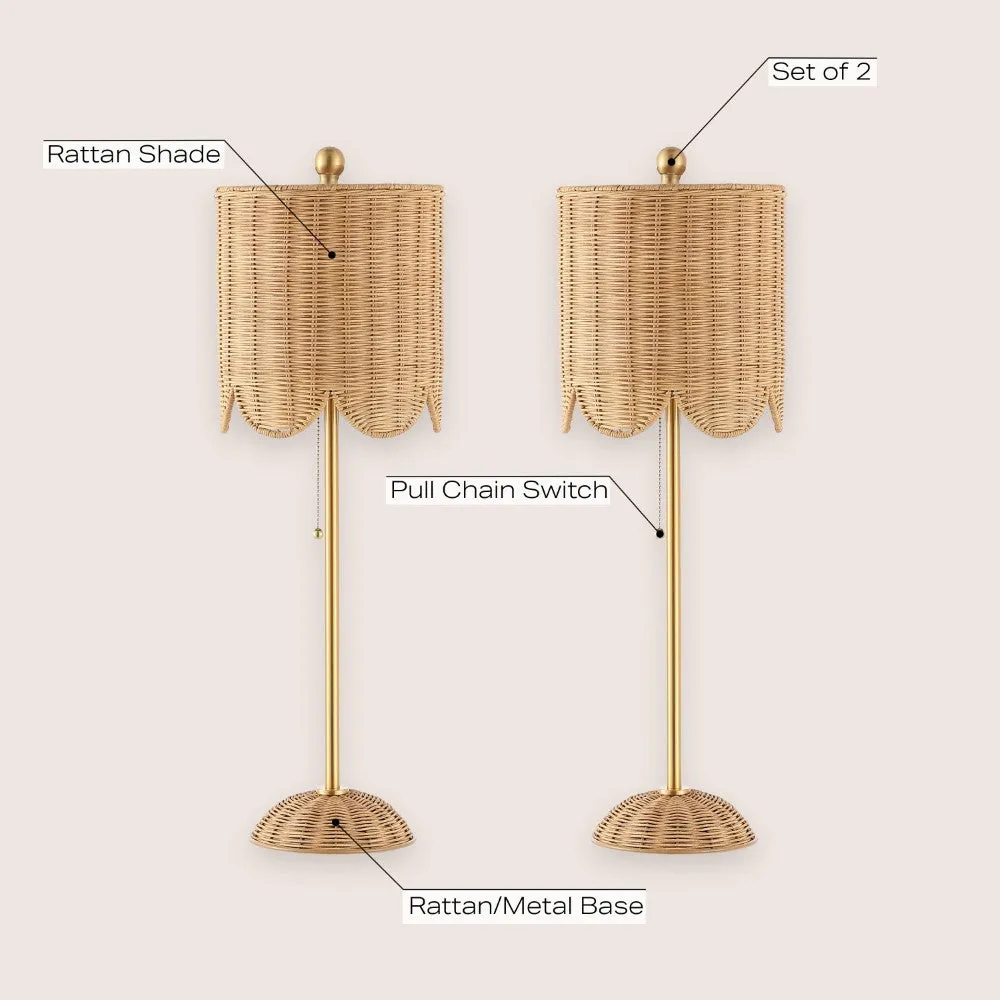 Cape 27.5" Coastal Bohemian Rattan/Iron Scalloped Buffet LED Table Lamp with Pull Chain (Set of 2)