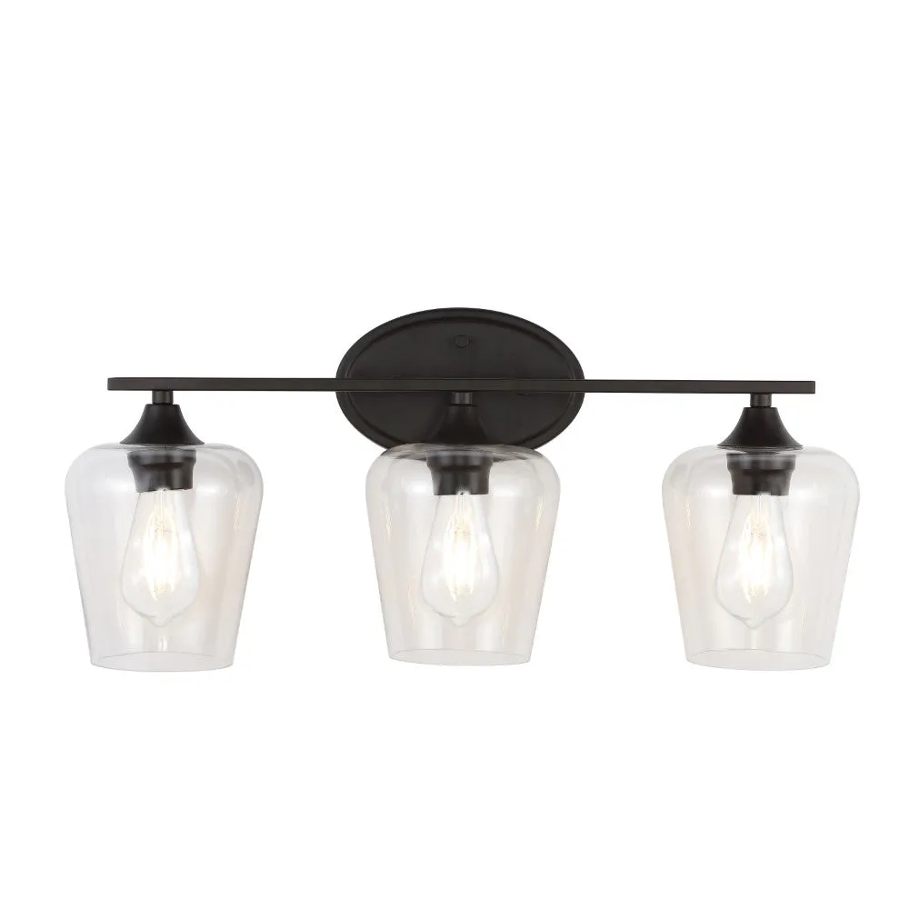 Damon Iron/Glass Cottage Rustic LED Vanity Light