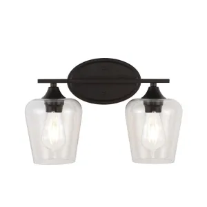 Damon Iron/Glass Cottage Rustic LED Vanity Light