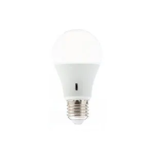 E27 Led Lightbulb 12W