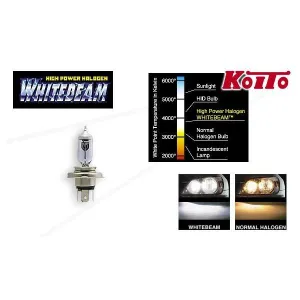 Koito High Power Halogen Whitebeam Bulbs - 9006 (HB4)