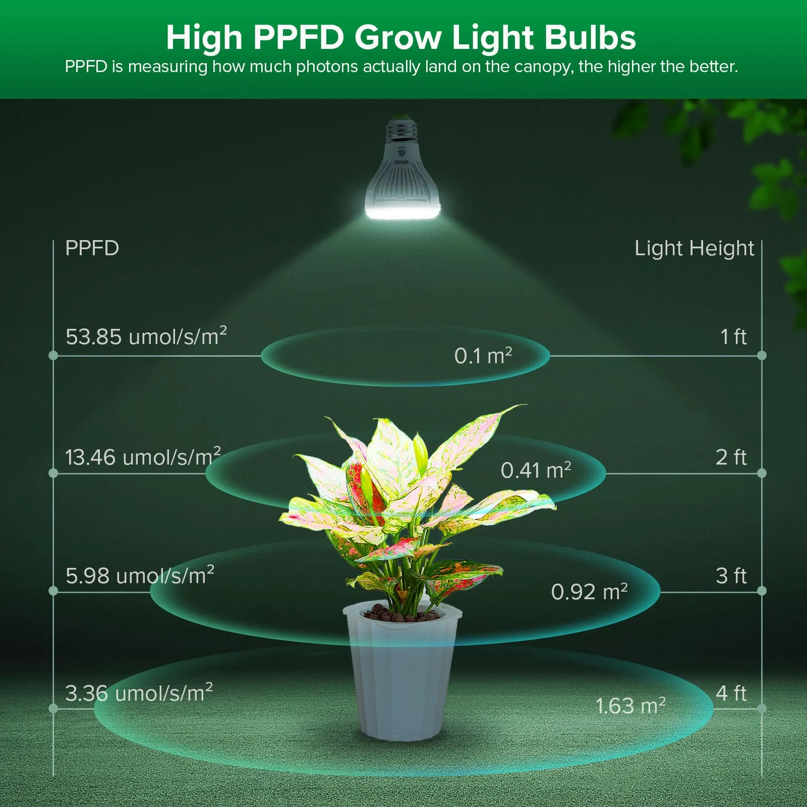 PAR20 5W LED Grow Light Bulb With Remote Control (US ONLY)