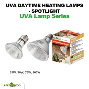 REPTIZOO UVA Halogen Spot Lamps